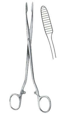 Cotton Swab Forceps Surgery Instruments. Surgical Instruments. It used by surgeons. High quality and reasonable price. Available in stock. Cotton Swab Forceps. #Cottonswabforceps #diagnostic #instruments #Cottonswab #Surgicalinstruments #forceps #surgery