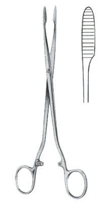 Cotton Swab Forceps Surgery Instruments. Surgical Instruments. It used by surgeons. High quality and reasonable price. Available in stock. Cotton Swab Forceps. #Cottonswabforceps #diagnostic #instruments #Cottonswab #Surgicalinstruments #forceps #surgery