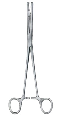 Cotton Swab Forceps Surgery Instruments.Cotton Swab Forceps. Surgical Instruments. It used by surgeons. High quality and reasonable price. Available in stock. Cotton Swab Forceps surgical Instruments. #Cottonswabforceps #diagnostic #instruments #cottonswab #Surgicalinstruments #forceps #surgery